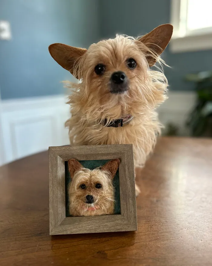 Anneli Kirby Turns Wool Into Three-Dimensional Dog Portraits, And Here Are Her 37 Best Works
