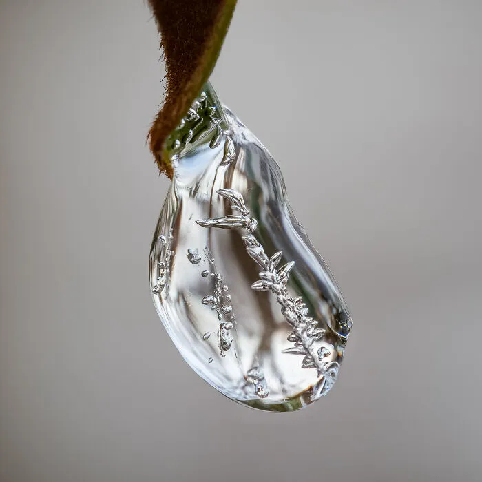 Preseleccionado: "Gota de hielo" de Morey Gers