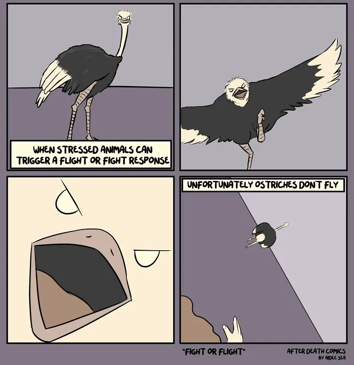 Comics For People With A Slightly Weird Sense Of Humor By Artist Aidee Sea (40 Pics)