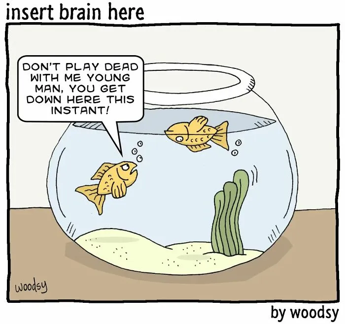 This Artist Has The Talent To Make People Laugh With Single-Panel Jokes (40 New Pics)