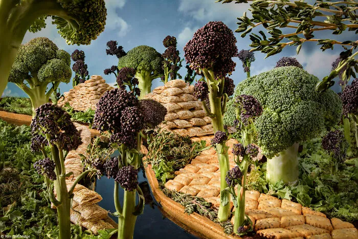 1st Place, Student Food Photographer Of The Year Supported By The Royal Photographic Society: Amazonian Foodscape By Kim Bainbridge (United Kingdom)