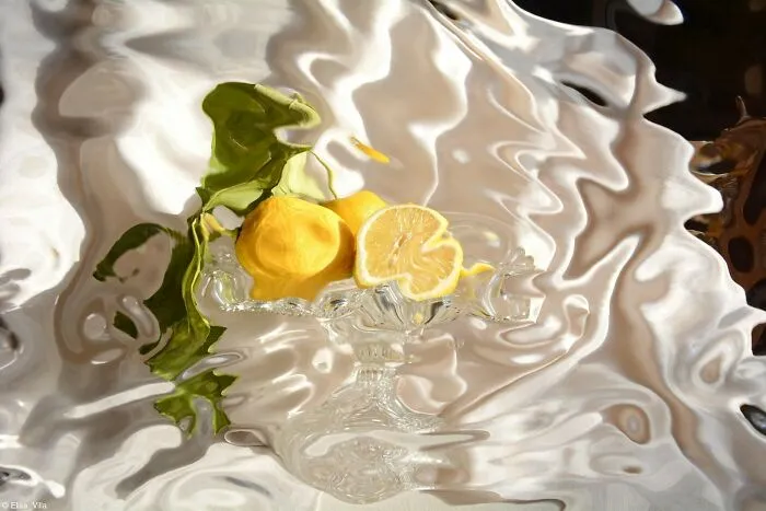 1st Place, Mpb Award For Innovation: Flowing Still Life: Greengrocery Project By Elisa Villa (Italy)
