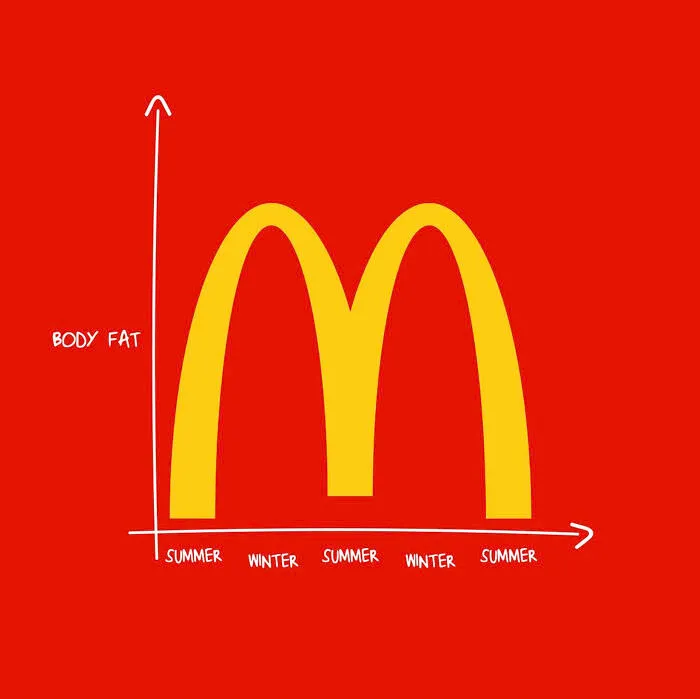 It All Makes Sense Now