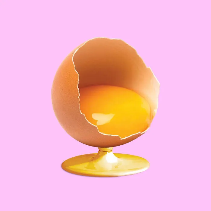 Egg Chair