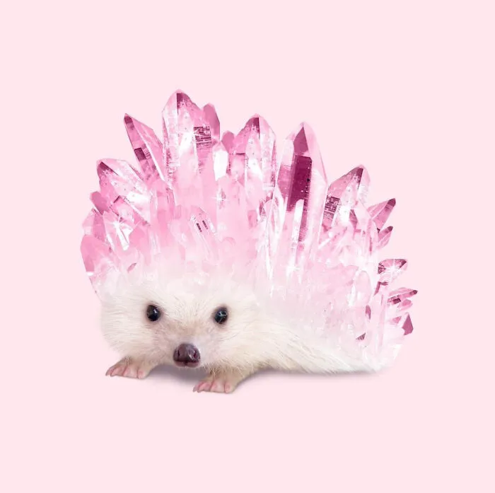 Quartzhog