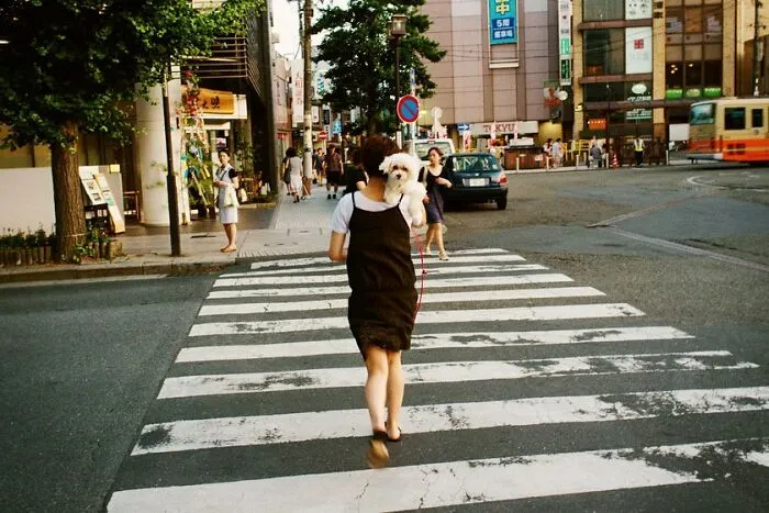 40 nuevas fotos del fotógrafo Shin Noguchi mostrando cómo es la vida diaria en Japón