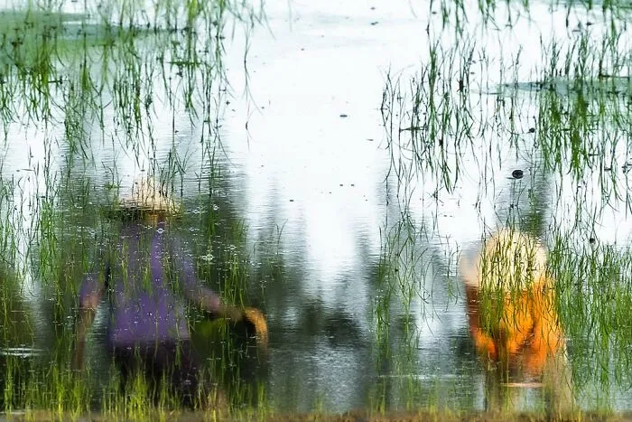 "Impression"