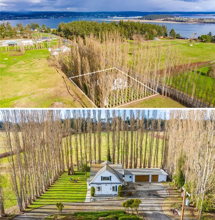 Nice House But What's With The Tree Forcefield?