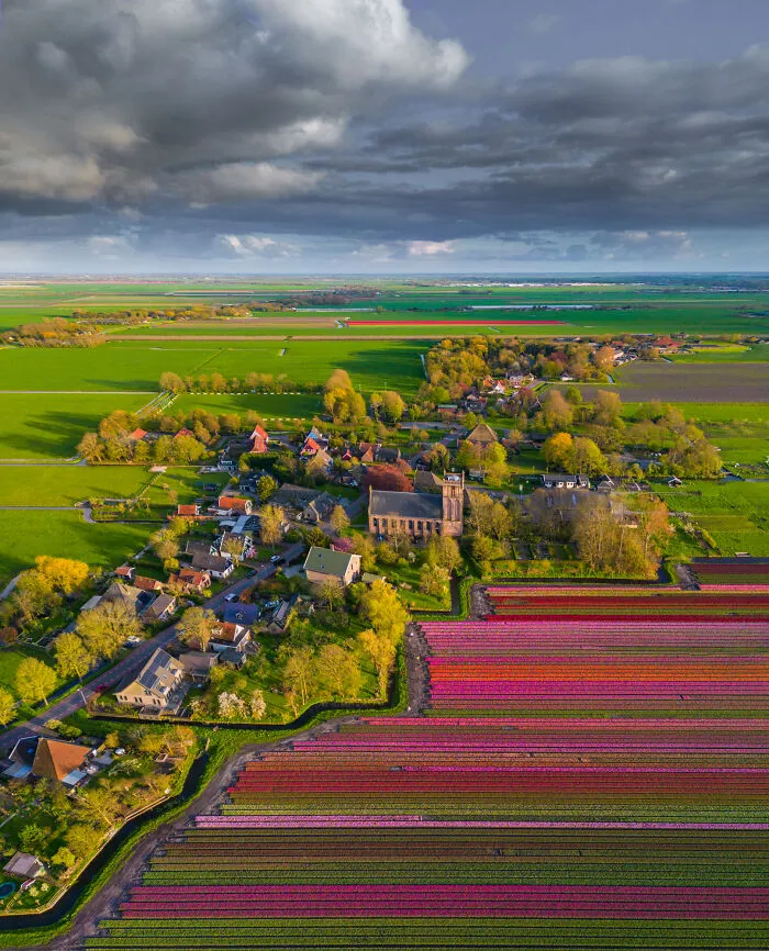 27 Photos Of Tulips In The Netherlands That I Took (New Pics)