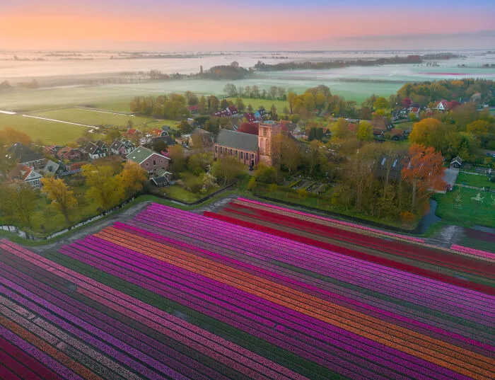 27 Photos Of Tulips In The Netherlands That I Took (New Pics)