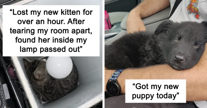 40 Of The Most Heartwarming Pics And Stories Of Happily Adopted Pets (May Edition)