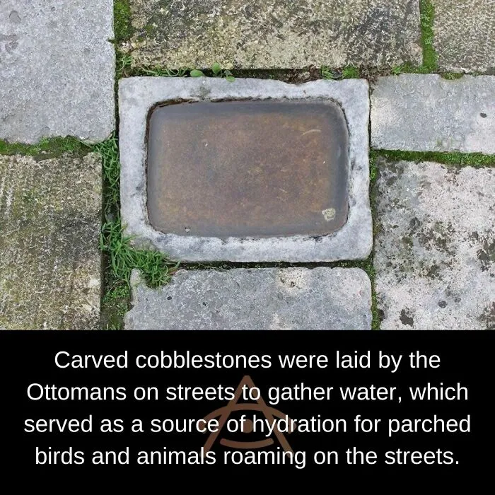 Cobblestones