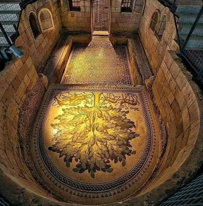 After Undergoing Restoration Work, One Of The Most Expansive Floor Mosaics Ever Found Has Been Revealed At Hisham Palace In Jericho
