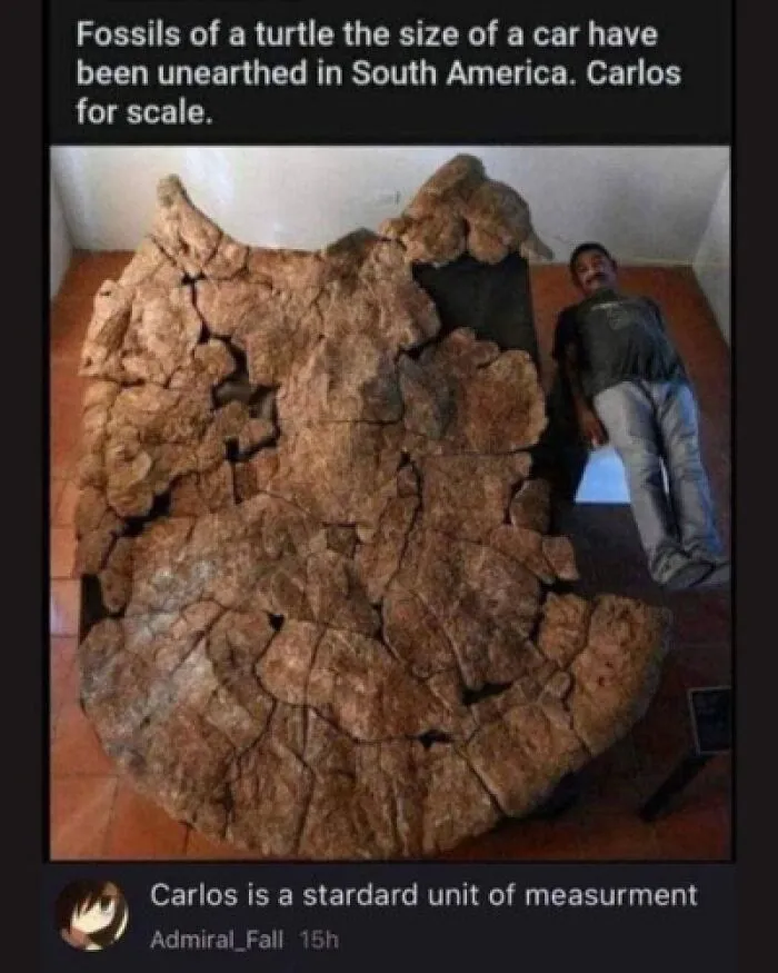 Carlos For Scale
