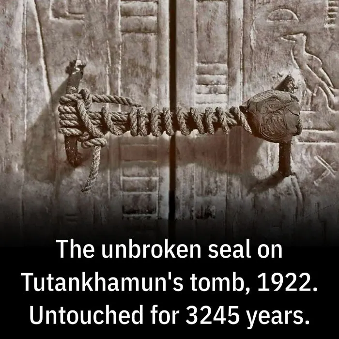 For 3245 Years