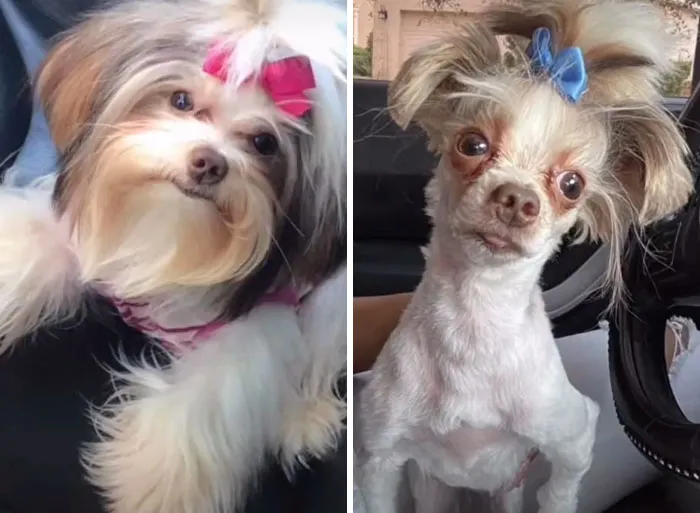 Is It Me Or Does She Look Like Sid's Granny?