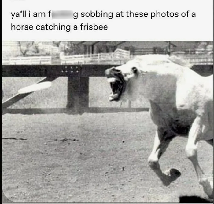 I Know It Doesn't Count As History (I Do Have Actual History Memes Dw) But It's Black And White
