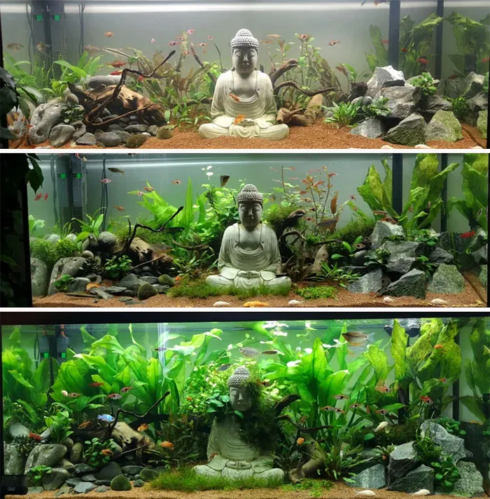 What A Difference 2 Months Can Make