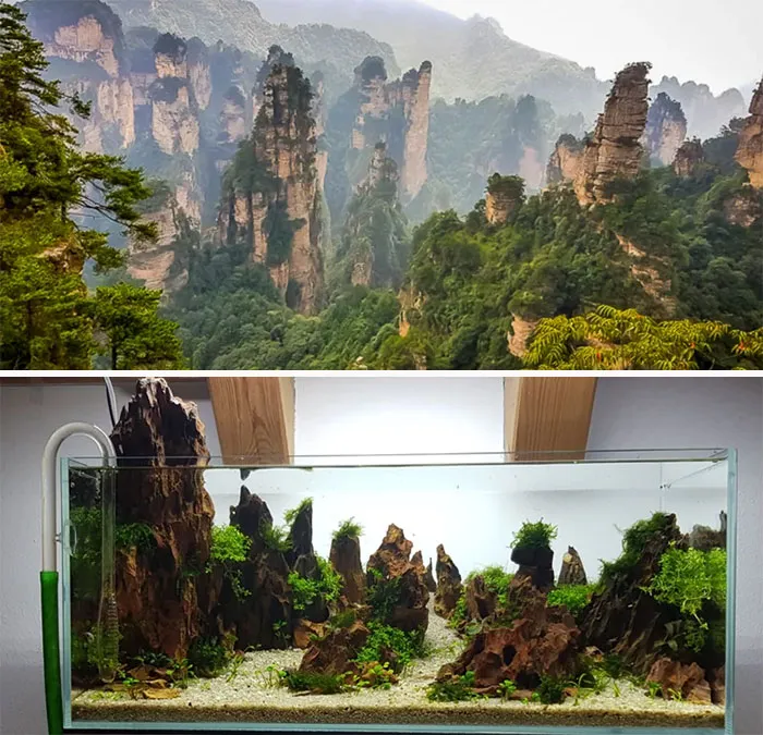 Inspiration vs. Aquarium