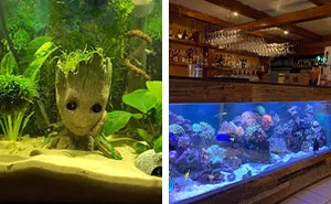 50 Stunning Aquarium Ideas, As Shared By People Online