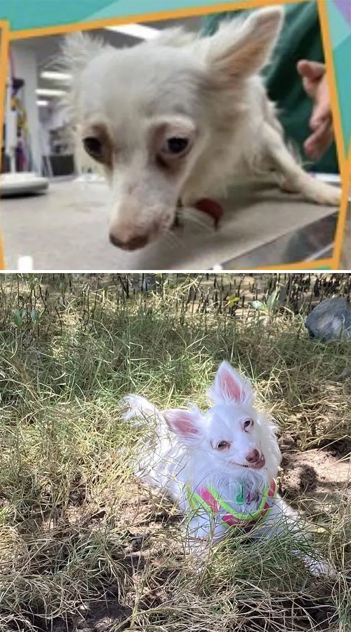 Una transformación memorable