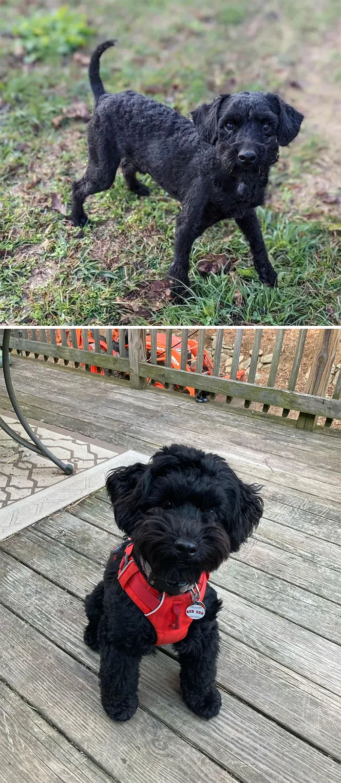 What An Adoption Glow-Up