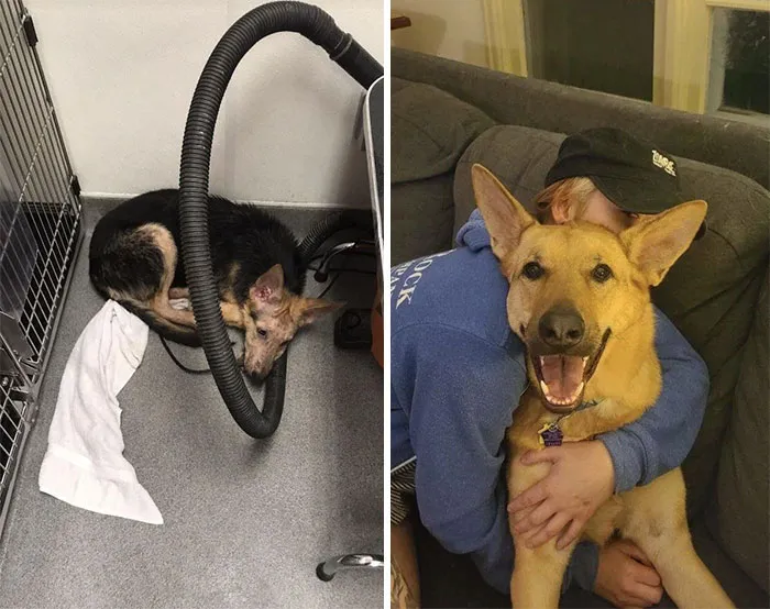 Almost To Our 2nd Gotcha Day!