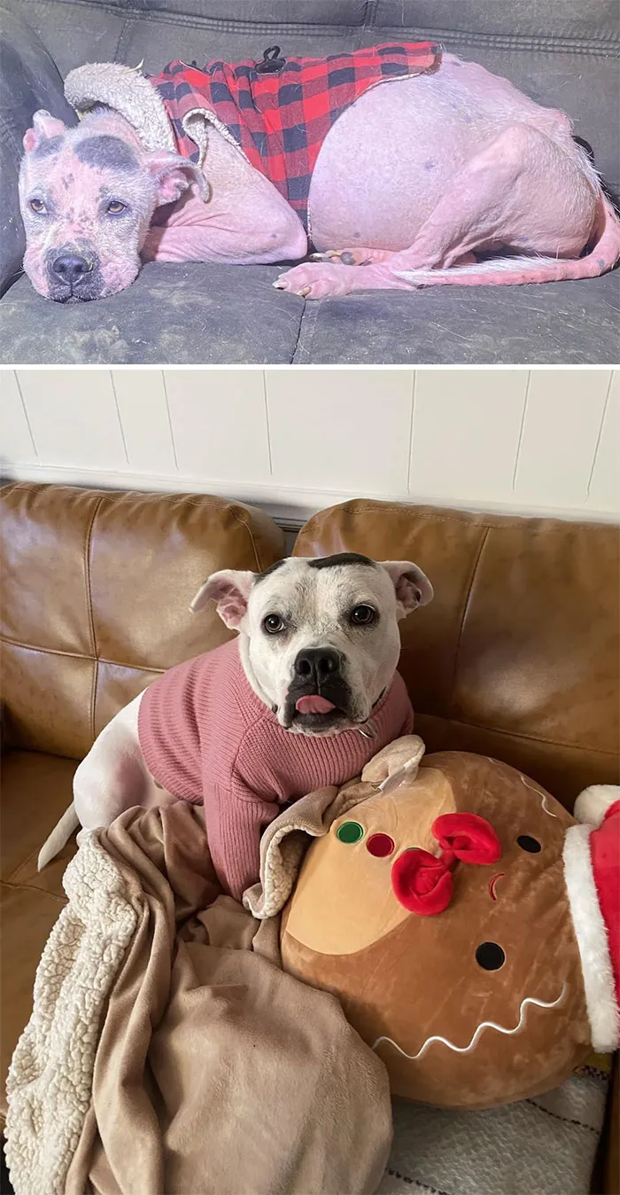 Lola