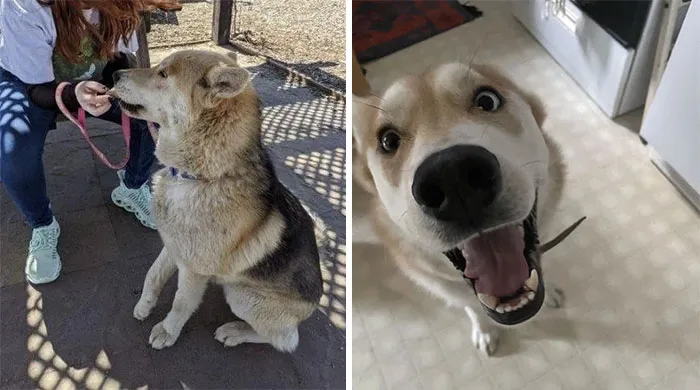 From Starved And Packed With Dirt To A Spoiled Baby