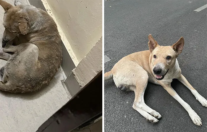 1 Month Transformation