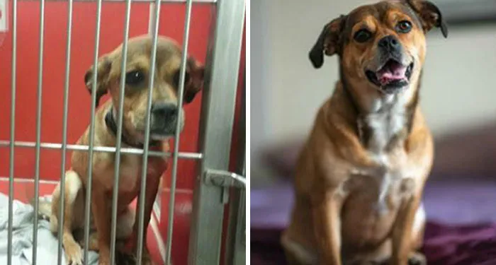 From A Jailbird To Princess To This Day And Counting!