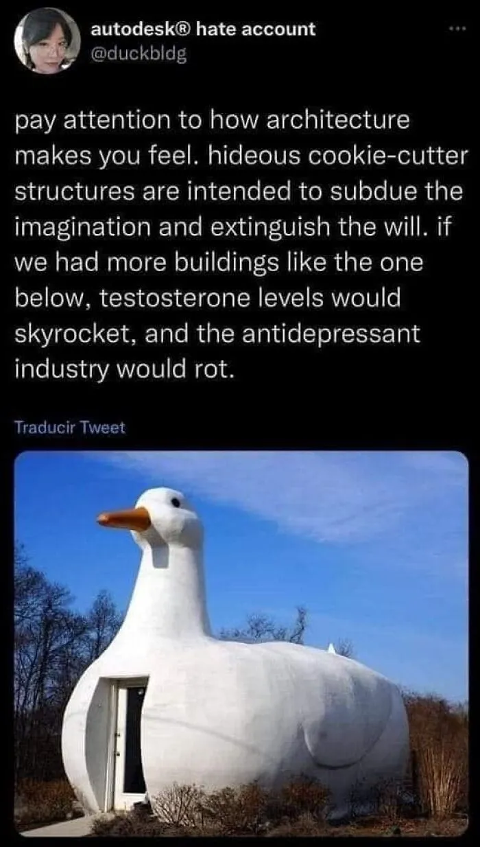 50 "Cursed" Pictures Shared By The 'Birds With Threatening Auras' Online Page