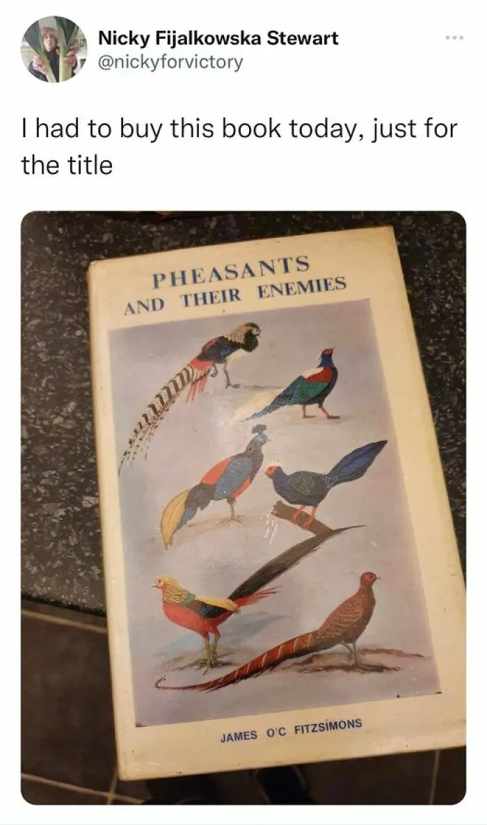 50 "Cursed" Pictures Shared By The 'Birds With Threatening Auras' Online Page