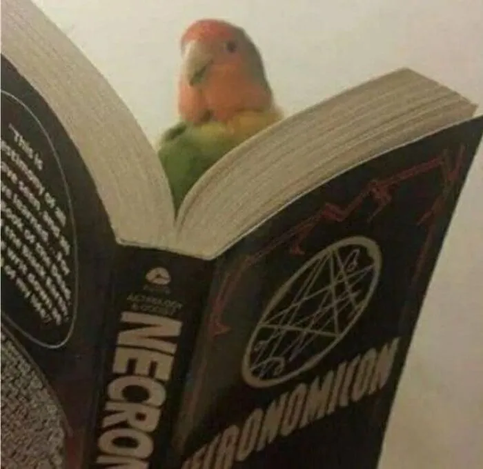 50 "Cursed" Pictures Shared By The 'Birds With Threatening Auras' Online Page