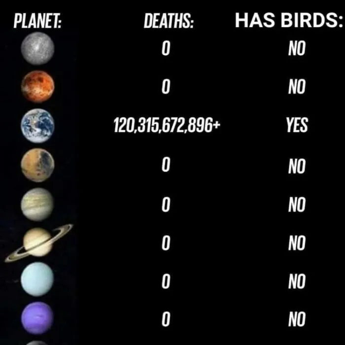 50 "Cursed" Pictures Shared By The 'Birds With Threatening Auras' Online Page