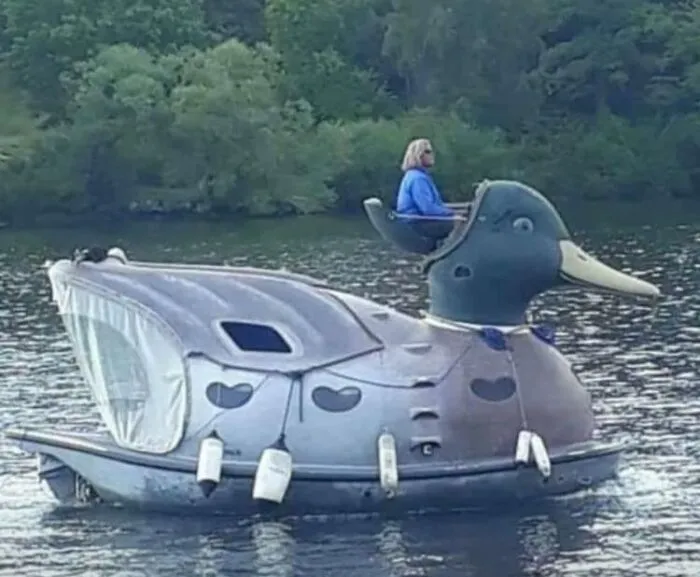 50 "Cursed" Pictures Shared By The 'Birds With Threatening Auras' Online Page