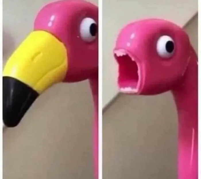 50 "Cursed" Pictures Shared By The 'Birds With Threatening Auras' Online Page