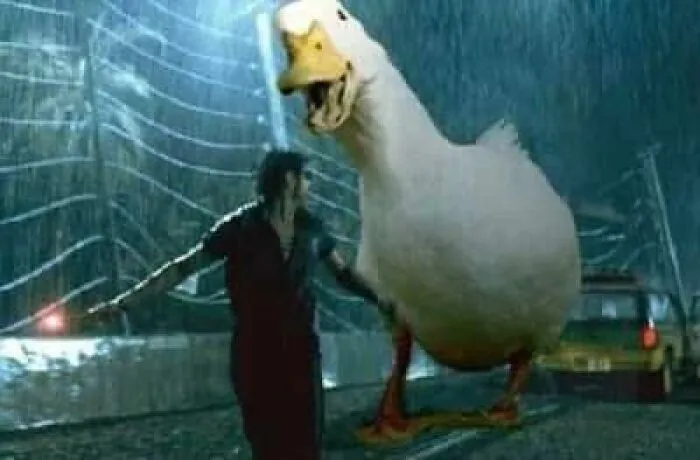 50 "Cursed" Pictures Shared By The 'Birds With Threatening Auras' Online Page