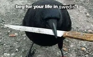 50 "Cursed" Pictures Shared By The 'Birds With Threatening Auras' Online Page