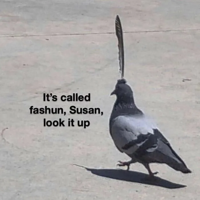 39 Giggle-Worthy Memes Where Birds Took Center Stage