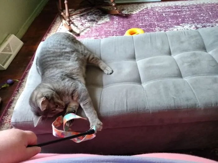 Bouche, In The Only Nature She Accepts, Attacking The Wild Wand Toy
