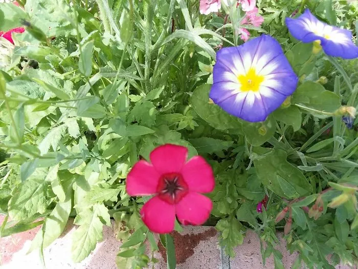 Gotta Love Spring!!