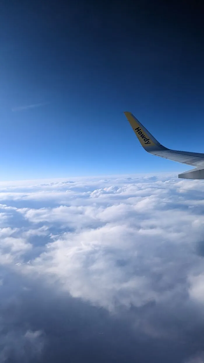 Random Plane Picture