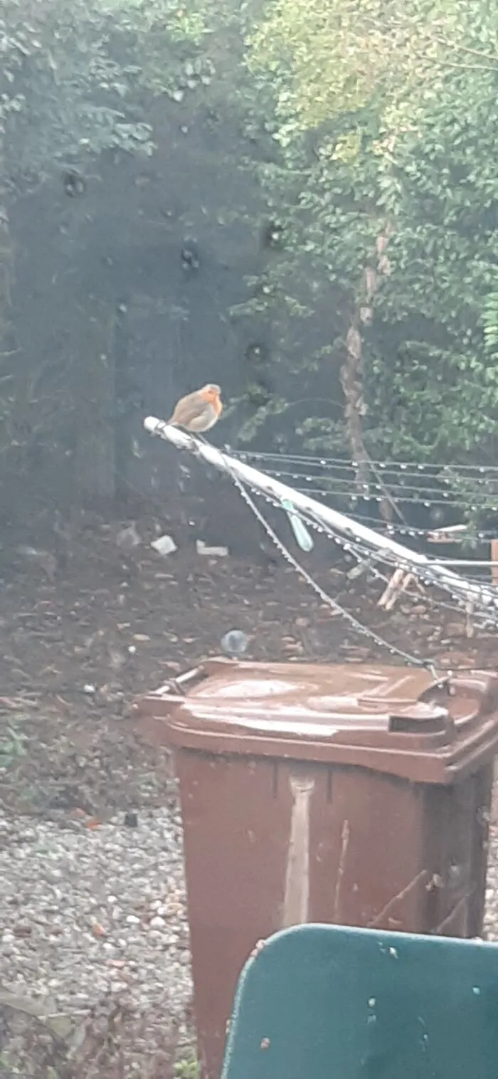 A Regular Visitor