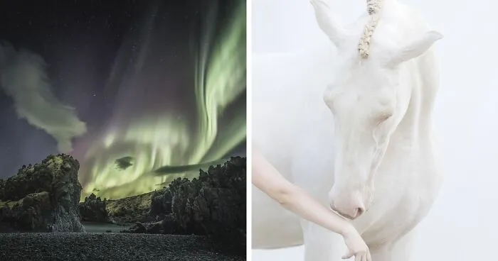 Nature Photography: 20 Winning Images Of The International Photo Awards 2022