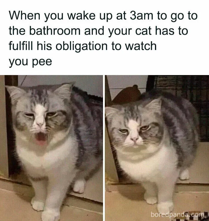 Silent Bathroom Bodyguard  