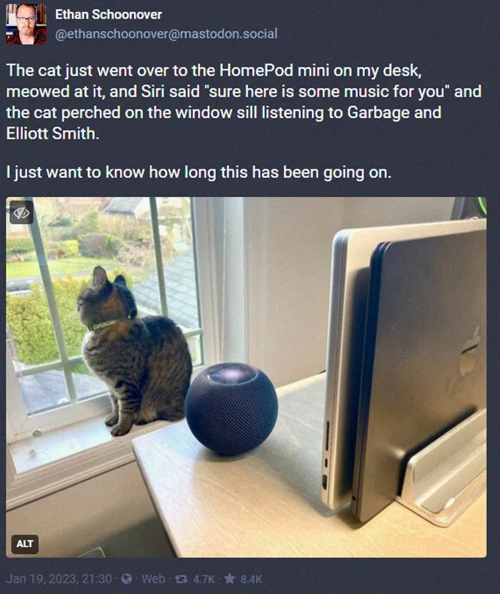 When Siri Meets Cat Vibes