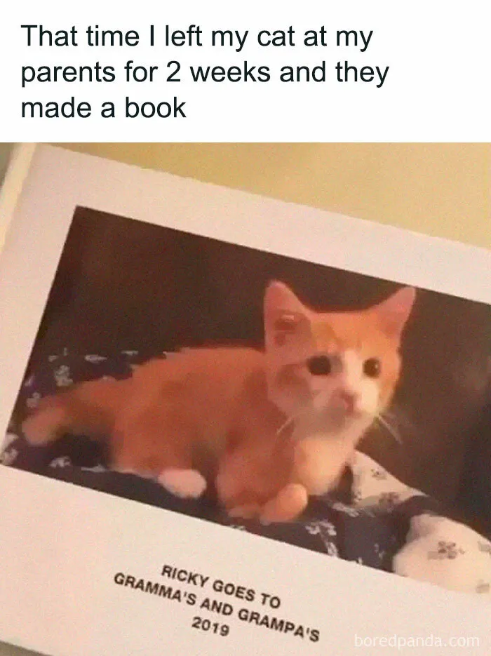 Pet Fame Achieved 