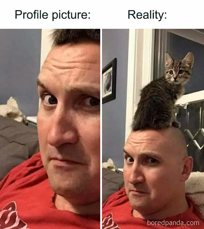 Expectation Vs. Reality Check