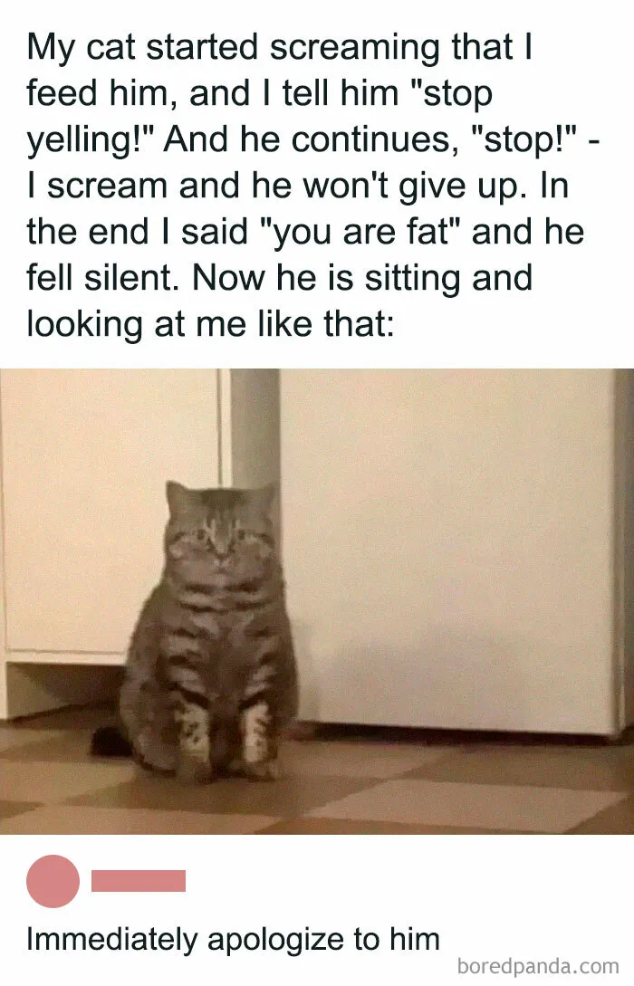 Silent But Judgmental